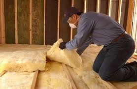 Best Insulation Removal  in USA